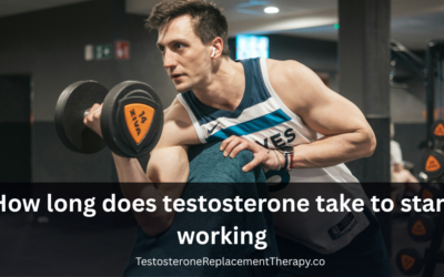 How long does testosterone take to start working